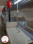 Stall 2022